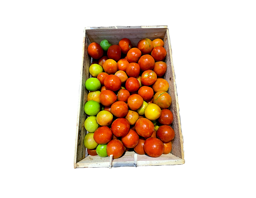 TOMATE ITALIANO MADURO (CX 17 KG)